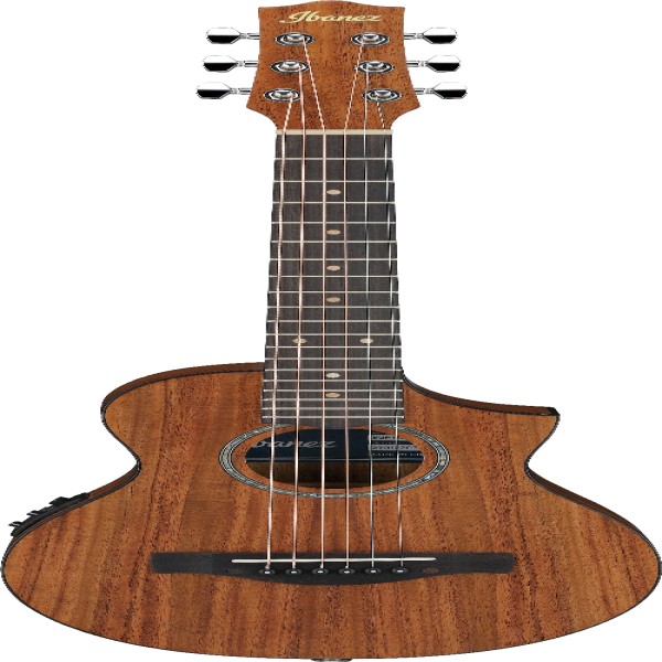 Ibanez EWP12EWBOPN IBA EL AC GTR W/BAG