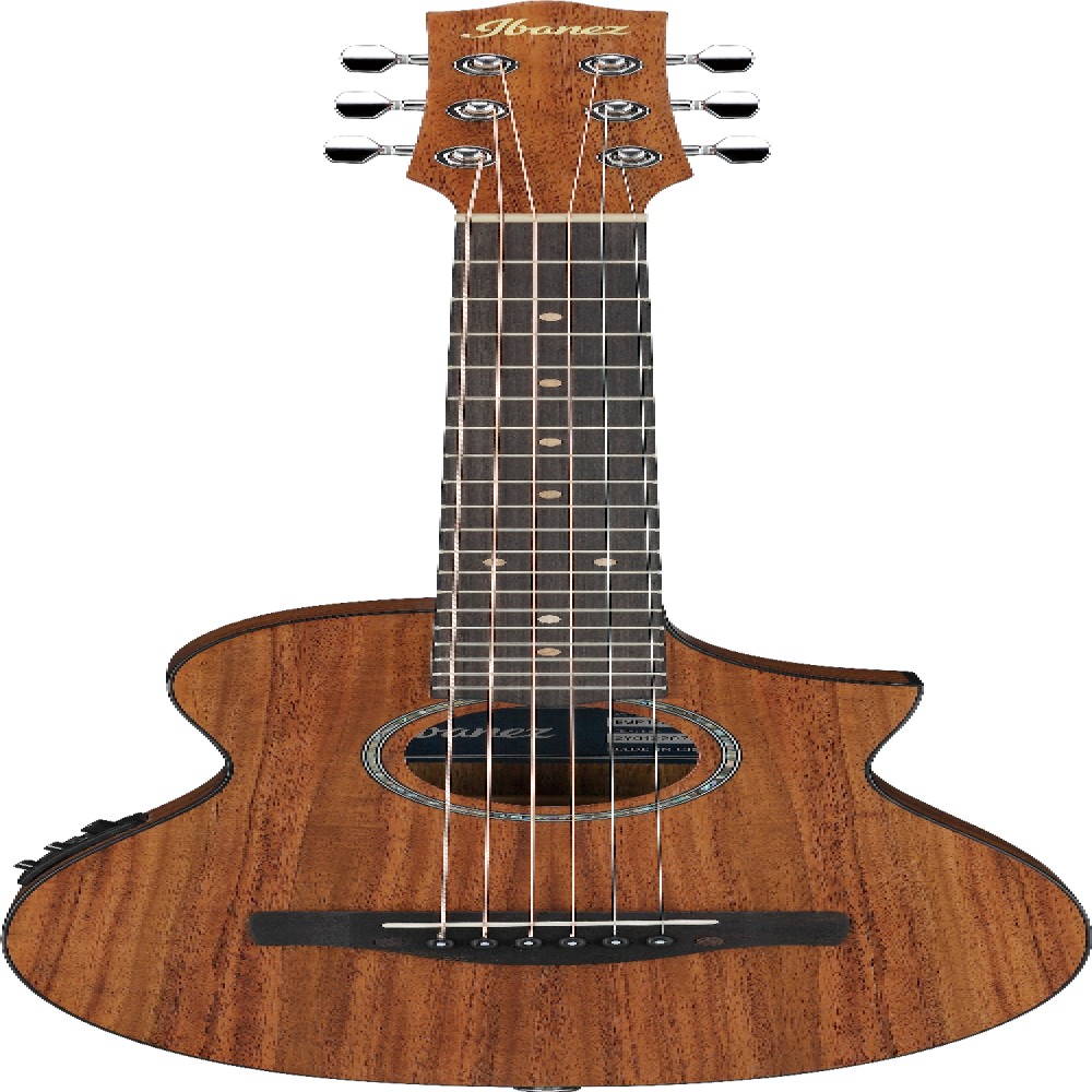 Ibanez EWP12EWBOPN IBA EL AC GTR W/BAG