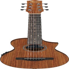 Ibanez EWP12EWBOPN IBA EL AC GTR W/BAG