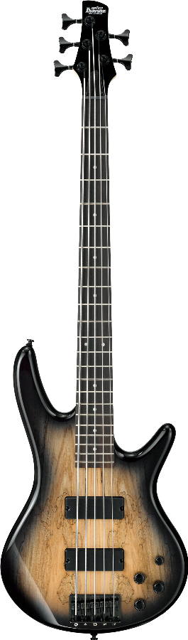 Ibanez GSR205SMNGT IBA EL BASS 5ST