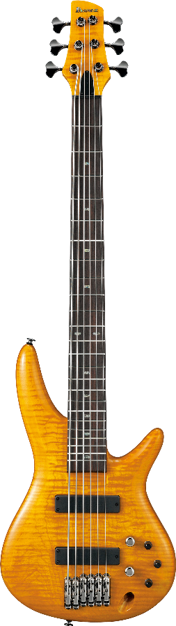 Ibanez GVB1006AM IBA EL BASS G.VEASLEY W/CASE 6ST