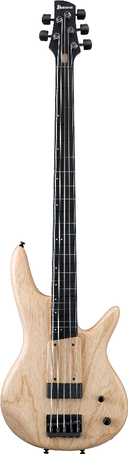 Ibanez GWB1005NTF IBA EL BASS G.WILLIS W/CASE 5ST FL