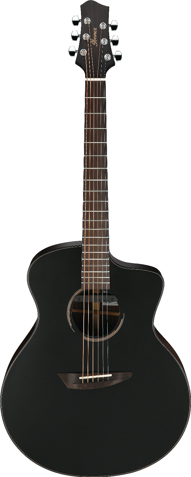 Ibanez JGM10BSN IBA EL AC J.GOMM W/CASE