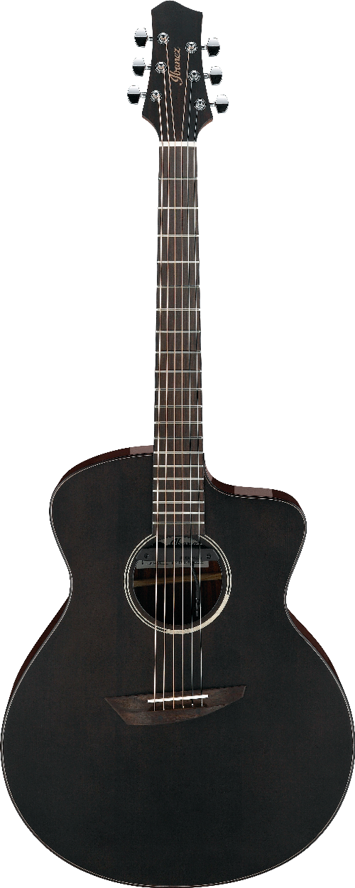 Ibanez JGM5BSN IBA EL AC J.GOMM W/BAG