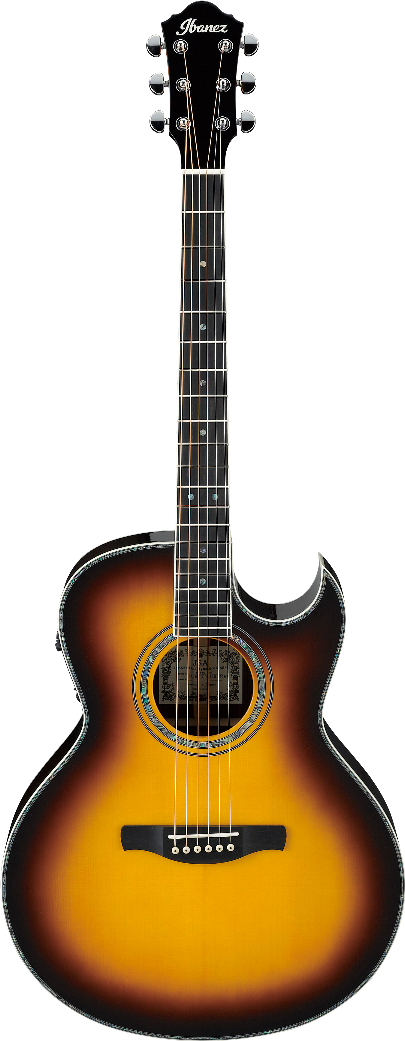 Ibanez JSA20VB IBA EL AC GTR J.SATRIANI W/CASE