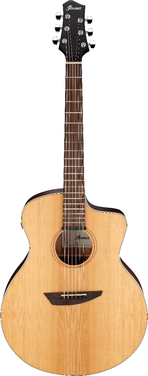 Ibanez PA230ENSL IBA EL AC GTR W/BAG