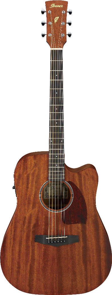 Ibanez PF12MHCEOPN IBA EL AC GTR