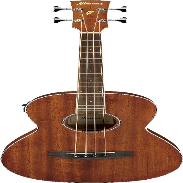 Ibanez PNB14EOPN IBA EL AC BASS GTR
