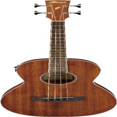 Ibanez PNB14EOPN IBA EL AC BASS GTR