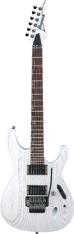 Ibanez PWM20 IBA EL GTR P.WAGGONER
