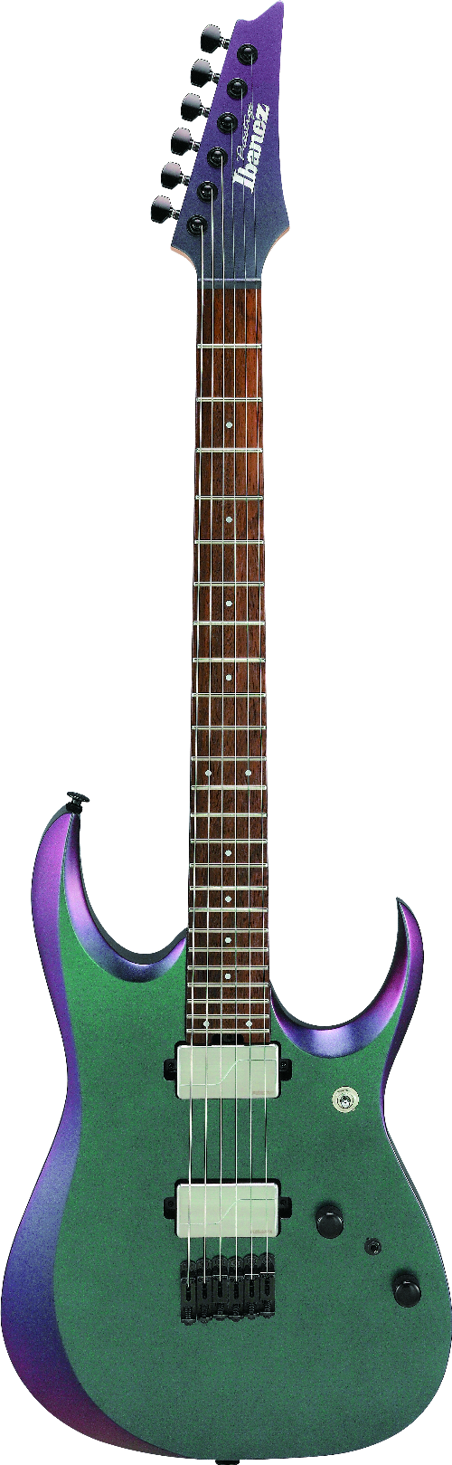 Ibanez RGD3121PRF IBA EL GTR W/CASE