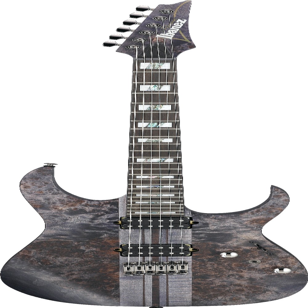 Ibanez RGT1221PBDTF IBA EL GTR W/BAG