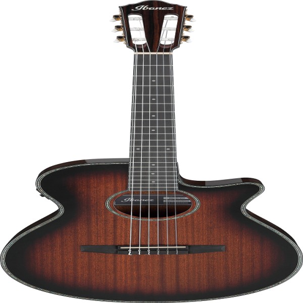 Ibanez AEG74NMHS IBA EL AC GTR