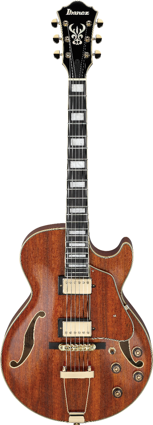 Ibanez AG95KNT IBA EL HOLLOW BODY GTR