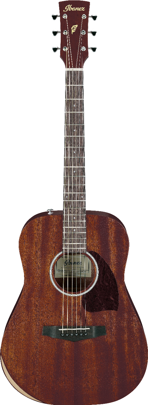 Ibanez PF14JROPN IBA AC GTR