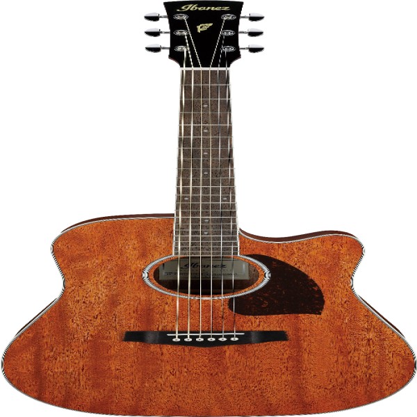 Ibanez PF16MWCEOPN IBA EL AC GTR