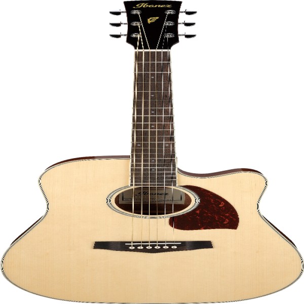 Ibanez PF16WCENT IBA EL AC GTR
