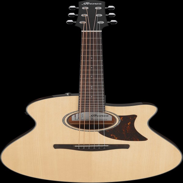Ibanez AAM300CENT IBA EL AC GTR