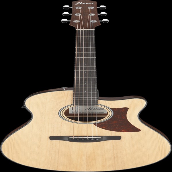 Ibanez AAM50CEOPN IBA EL AC GTR