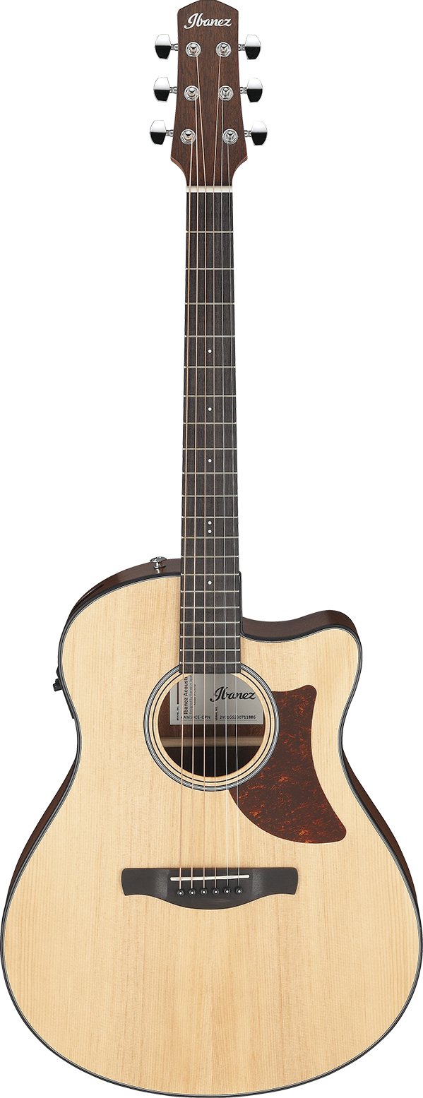 Ibanez AAM50CEOPN IBA EL AC GTR