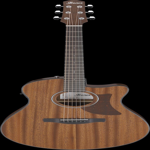 Ibanez AAM54CEOPN IBA EL AC GTR
