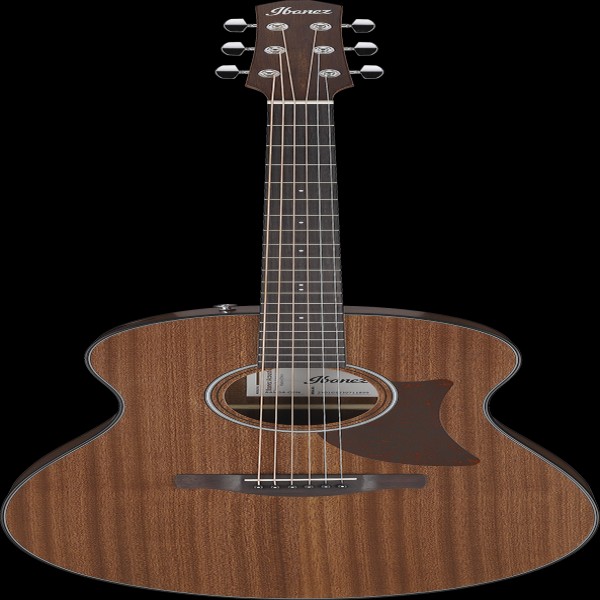 Ibanez AAM54OPN IBA AC GTR