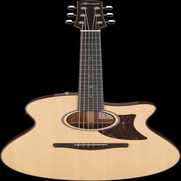 Ibanez AAM700CENT IBA EL AC GTR W/CASE