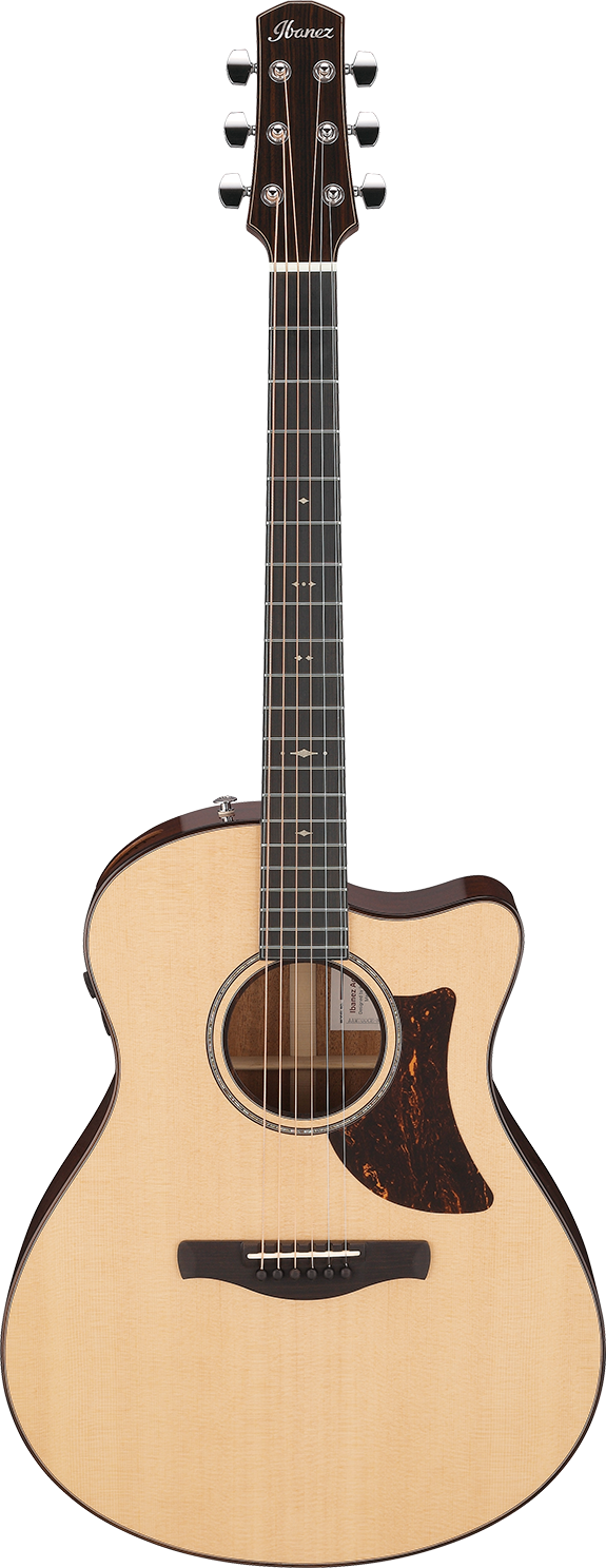 Ibanez AAM700CENT IBA EL AC GTR W/CASE