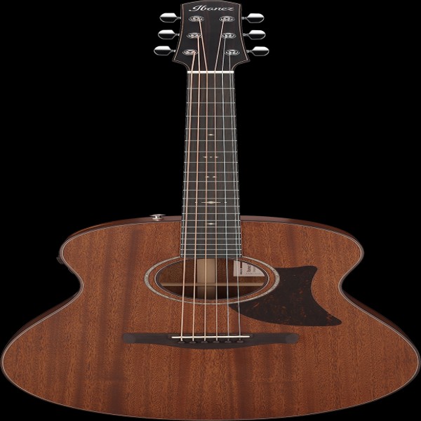 Ibanez AAM740ELG IBA EL AC GTR W/CASE