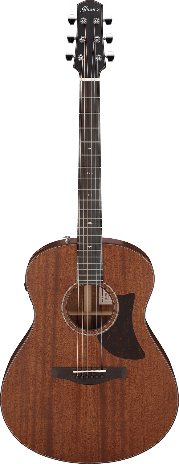 Ibanez AAM740ELG IBA EL AC GTR W/CASE