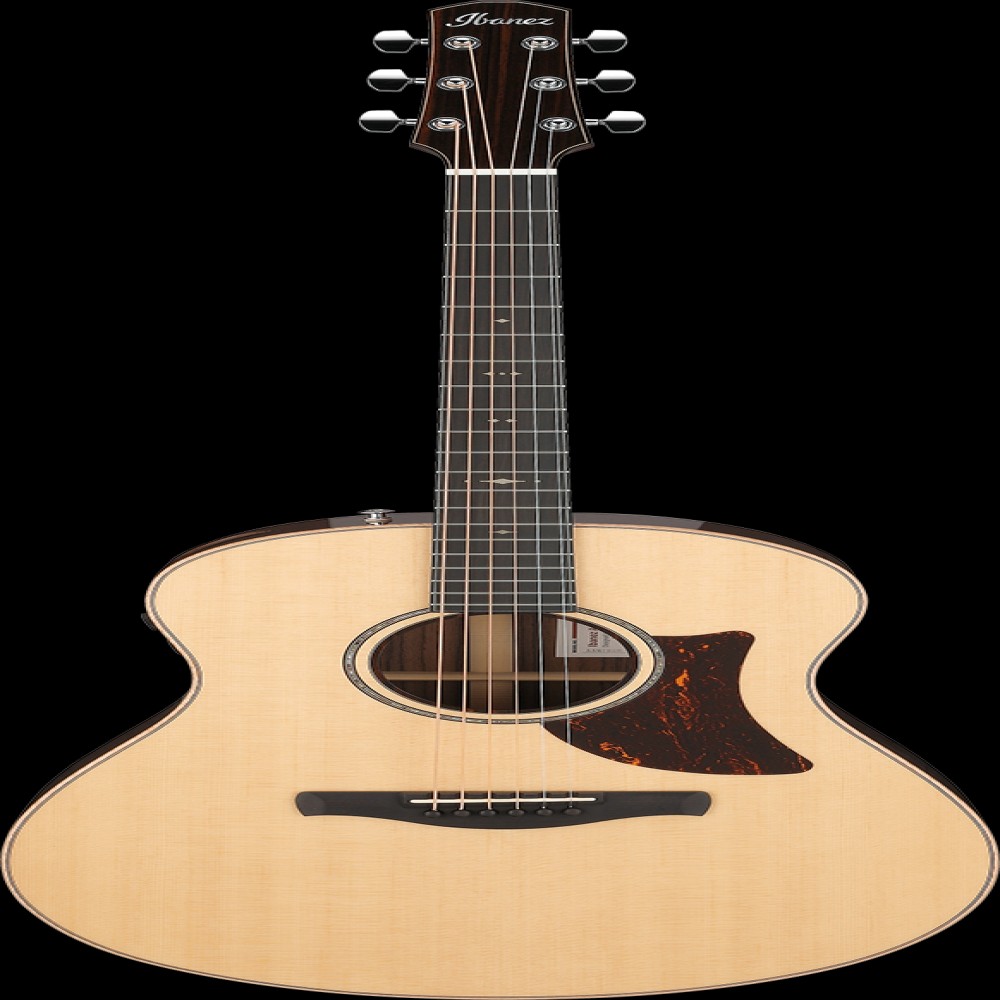 Ibanez AAM780ENT IBA EL AC GTR W/CASE