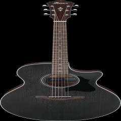 Ibanez AE140WKH IBA EL AC GTR