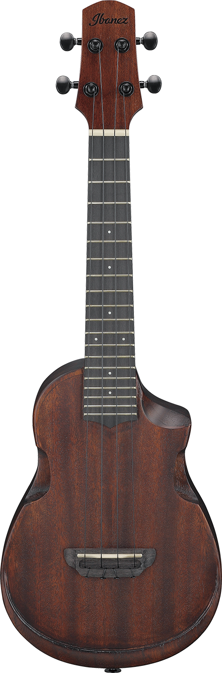 Ibanez AUC14OVL IBA UKLELE W/BAG