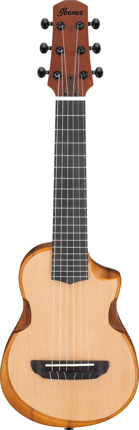 Ibanez AUP10NOPN IBA UKLELE W/BAG