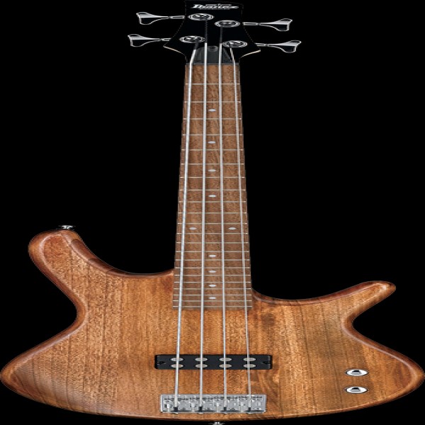 Ibanez GSR100EXMOL EL.BASS