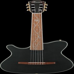 Ibanez TOD10NLTKF IBA EL AC GTR T.HENSON LEFT
