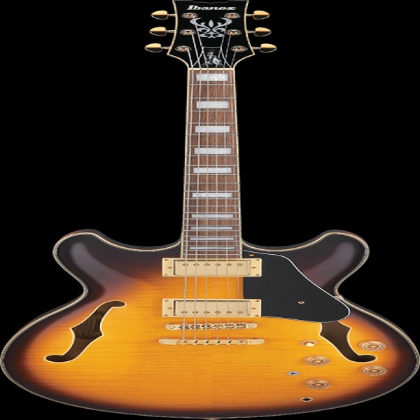 Ibanez JSM10EMTTB EL.GUITAR W/CASE