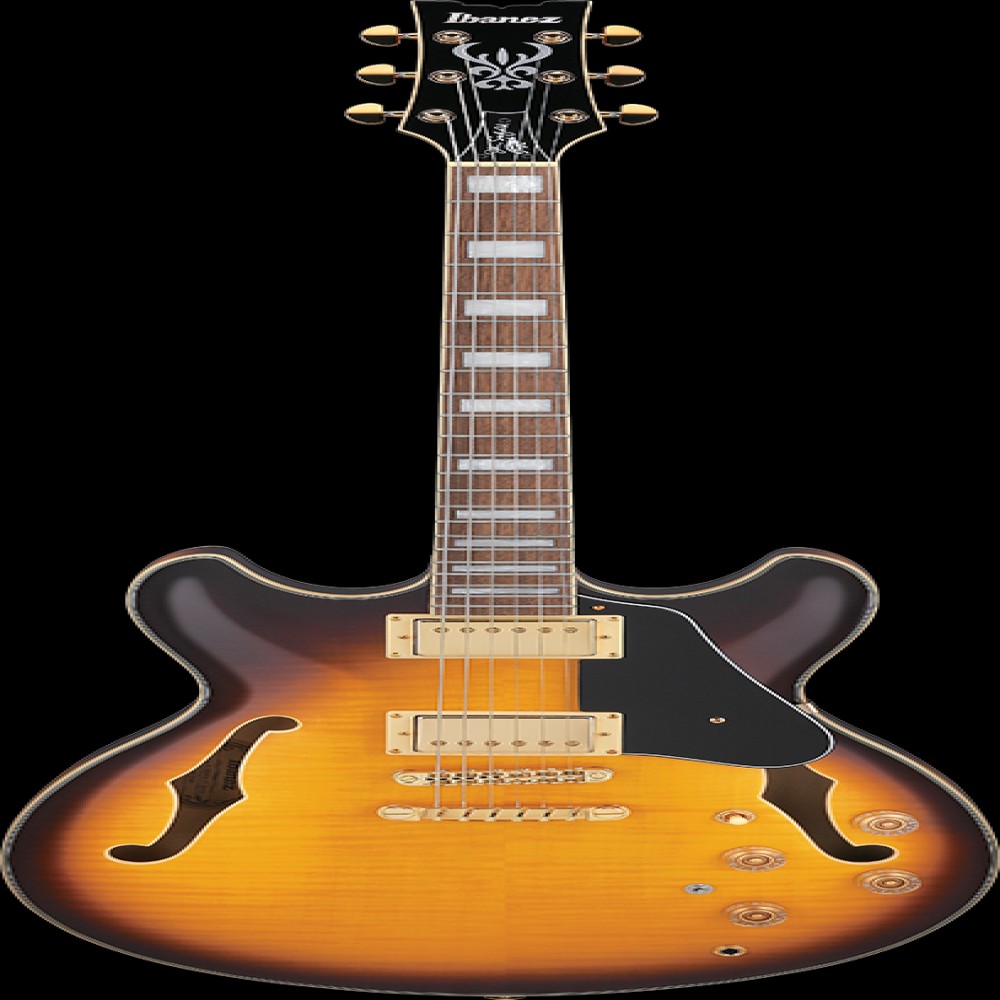 Ibanez JSM10EMTTB EL.GUITAR W/CASE
