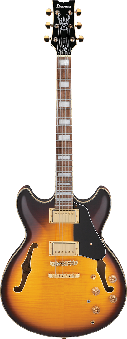 Ibanez JSM10EMTTB EL.GUITAR W/CASE