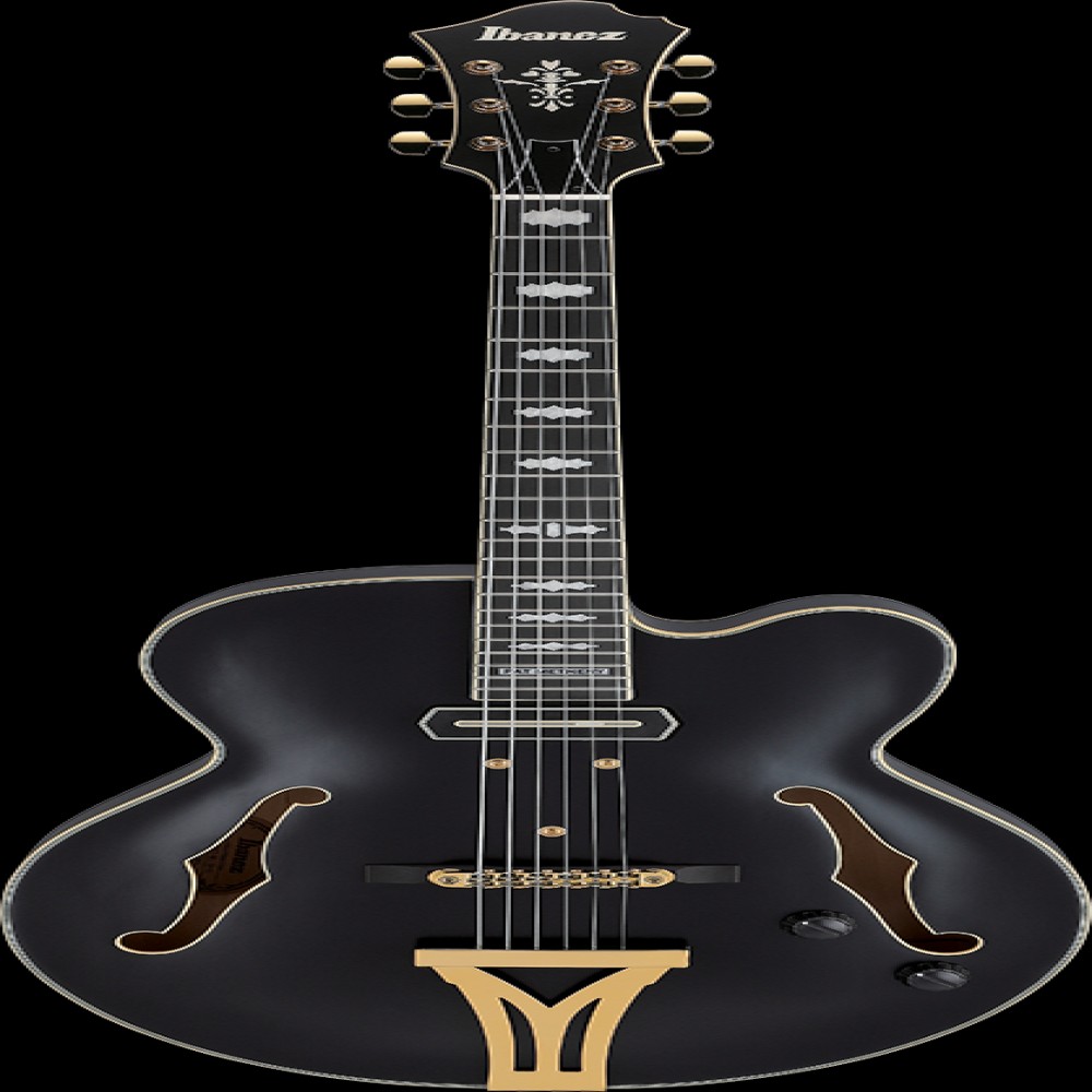 Ibanez PM3CBKL EL.GUITAR W/CASE
