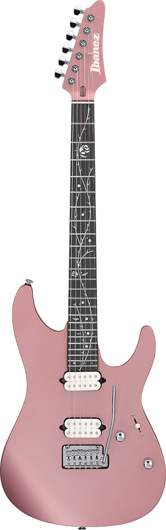 Ibanez TOD10MM IBA EL GTR T.HENSON W/BAG