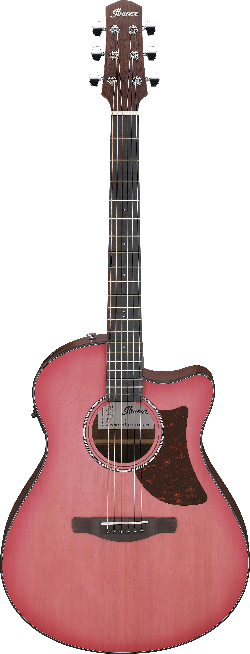 Ibanez AAM50CECRO IBA EL AC GTR