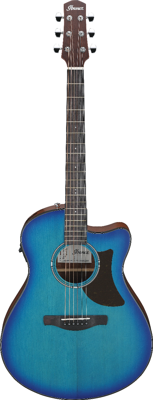 Ibanez AAM50CESBO IBA EL AC GTR