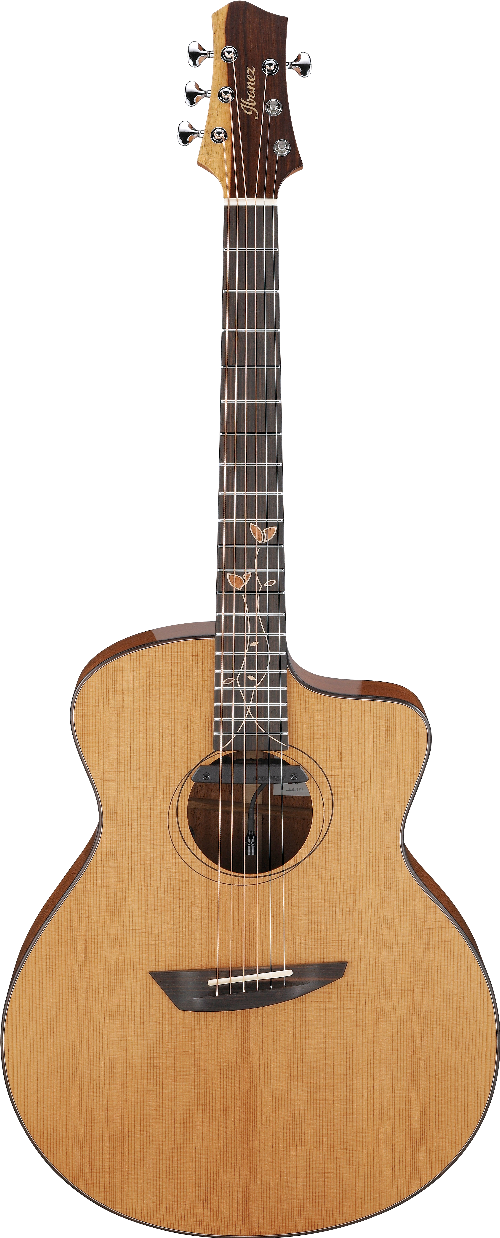 Ibanez JGM11 IBA EL AC J.GOMM W/CASE