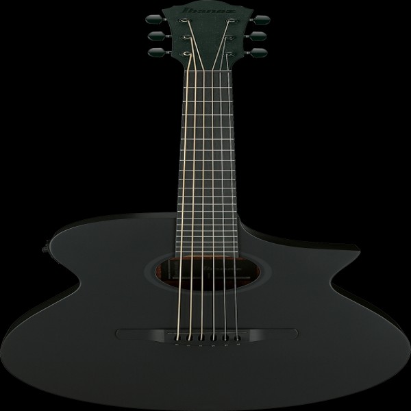 Ibanez AEWC621BOT IBA EL AC GTR