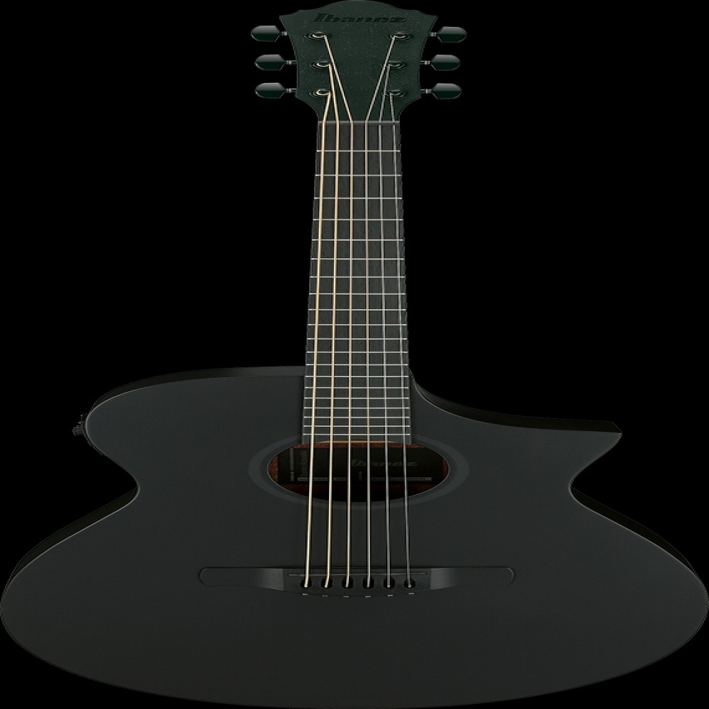 Ibanez AEWC621BOT IBA EL AC GTR