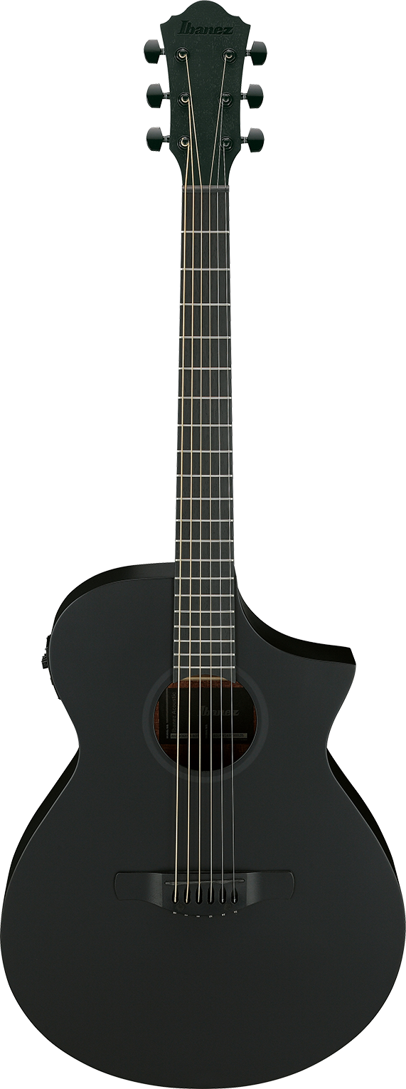 Ibanez AEWC621BOT IBA EL AC GTR