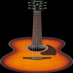 Ibanez PJ50EOAH IBA EL AC GTR