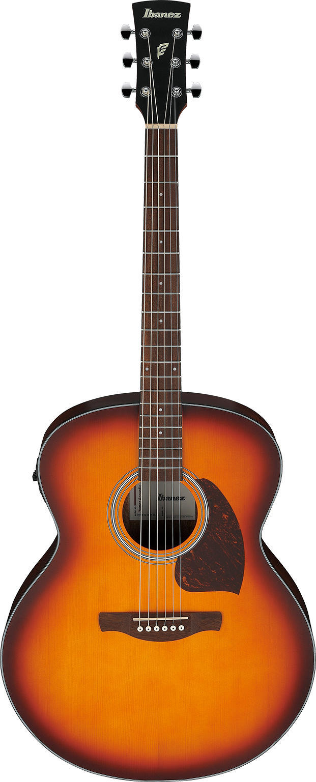 Ibanez PJ50EOAH IBA EL AC GTR