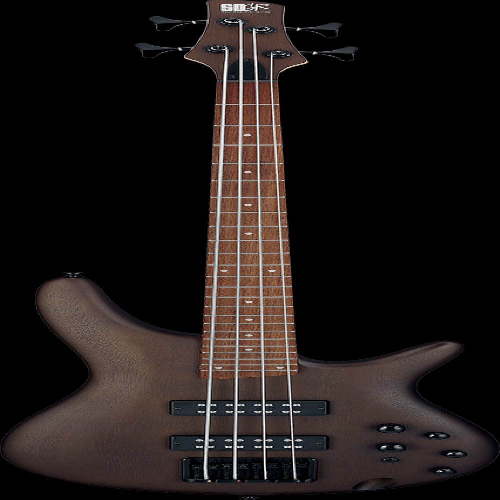 Ibanez SR300EBWNF IBA EL BASS